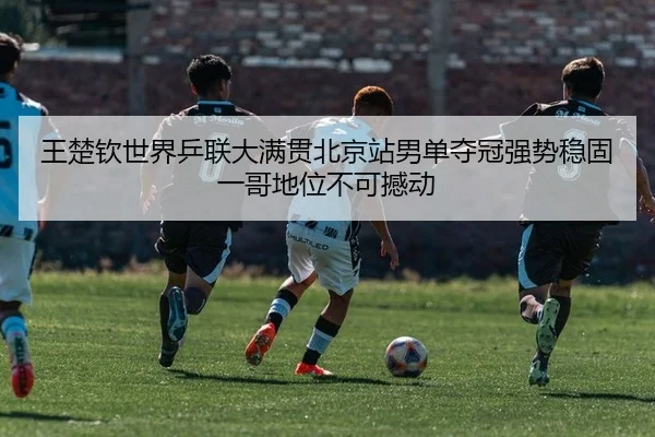 wang-chu-qin-shi-jie-ping-lian-da-man-guan-bei-jing-zhan-nan-dan-duo-guan-qiang-shi-wen-gu-yi-ge-di-wei-bu-ke-han-dong-2-838.jpg